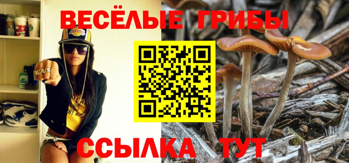 Псилоцибиновые грибы MAGIC MUSHROOMS  Вход с VPN  Алексеевка 